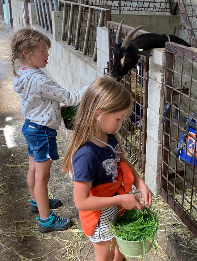 deux petites filles qui nourrissent les chèvres 
